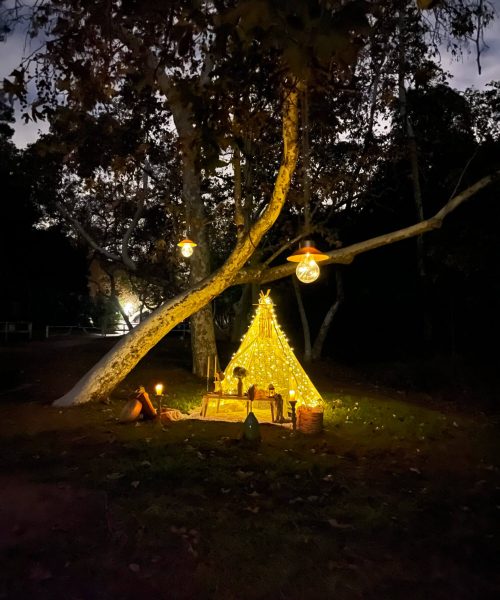 Best-Night-Picnics-LA-scaled-1