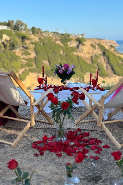 valentines-day-picnic-7-min (2)